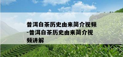 普洱白茶历史由来简介视频-普洱白茶历史由来简介视频讲解