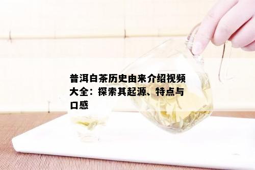 普洱白茶历史由来介绍视频大全：探索其起源、特点与口感