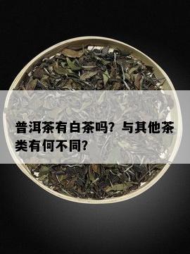 普洱茶有白茶吗？与其他茶类有何不同？