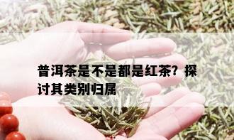 普洱茶是不是都是红茶？探讨其类别归属