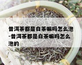 普洱茶都是白茶嘛吗怎么泡-普洱茶都是白茶嘛吗怎么泡的