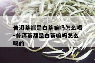 普洱茶都是白茶嘛吗怎么喝-普洱茶都是白茶嘛吗怎么喝的