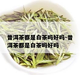 普洱茶都是白茶吗好吗-普洱茶都是白茶吗好吗