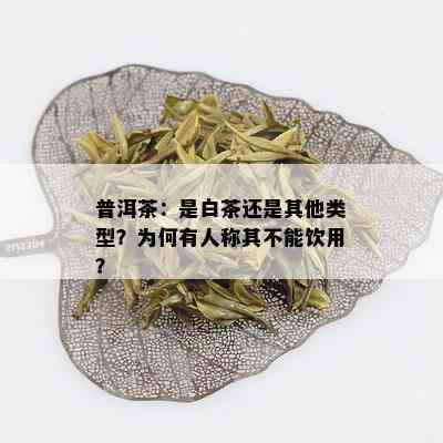 普洱茶：是白茶还是其他类型？为何有人称其不能饮用？