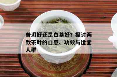 普洱好还是白茶好？探讨两款茶叶的口感、功效与适宜人群