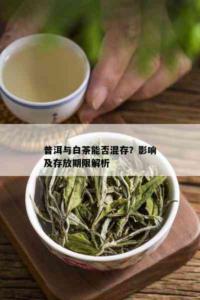 普洱与白茶能否混存？影响及存放期限解析