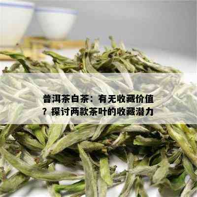 普洱茶白茶：有无收藏价值？探讨两款茶叶的收藏潜力