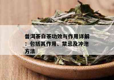 普洱茶白茶功效与作用详解：包括其作用、禁忌及冲泡方法