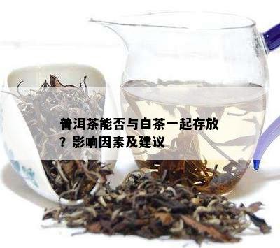 普洱茶能否与白茶一起存放？影响因素及建议