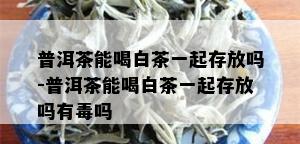 普洱茶能喝白茶一起存放吗-普洱茶能喝白茶一起存放吗有吗