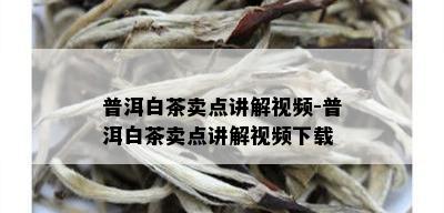 普洱白茶卖点讲解视频-普洱白茶卖点讲解视频下载