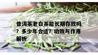 普洱茶老白茶能长期存放吗？多少年合适？功效与作用解析