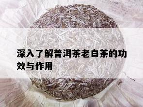 深入了解普洱茶老白茶的功效与作用