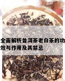 全面解析普洱茶老白茶的功效与作用及其禁忌