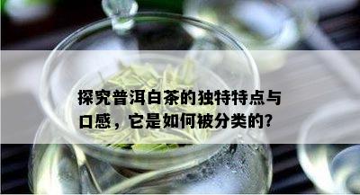 探究普洱白茶的独特特点与口感，它是如何被分类的？