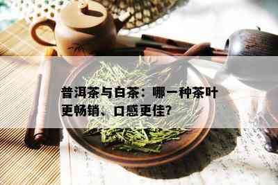 普洱茶与白茶：哪一种茶叶更畅销、口感更佳？