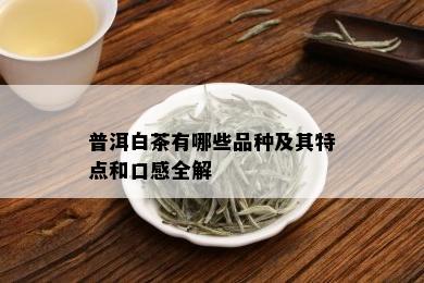 普洱白茶有哪些品种及其特点和口感全解