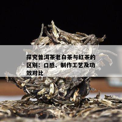 探究普洱茶老白茶与红茶的区别：口感、制作工艺及功效对比