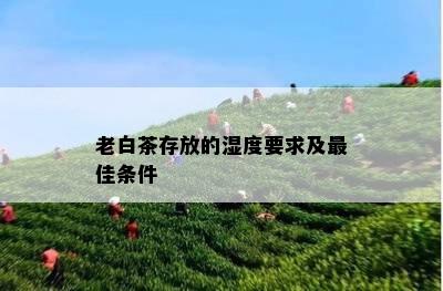 老白茶存放的湿度要求及更佳条件