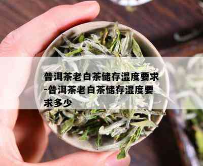 普洱茶老白茶储存湿度要求-普洱茶老白茶储存湿度要求多少