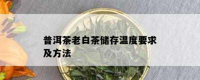 普洱茶老白茶储存温度要求及方法