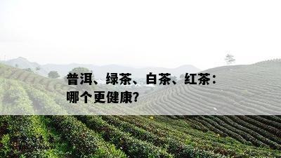 普洱、绿茶、白茶、红茶：哪个更健康？