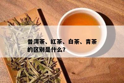 普洱茶、红茶、白茶、青茶的区别是什么？