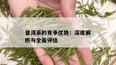 普洱茶的竞争优势：深度解析与全面评估