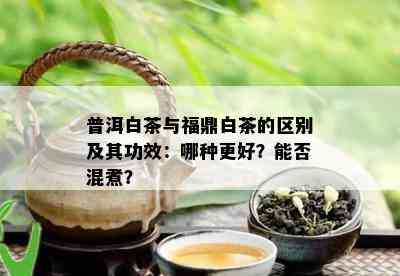 普洱白茶与福鼎白茶的区别及其功效：哪种更好？能否混煮？