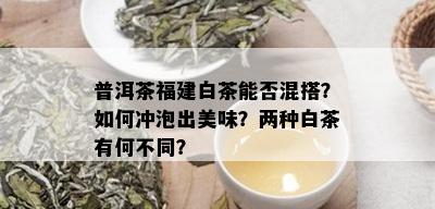 普洱茶福建白茶能否混搭？如何冲泡出美味？两种白茶有何不同？