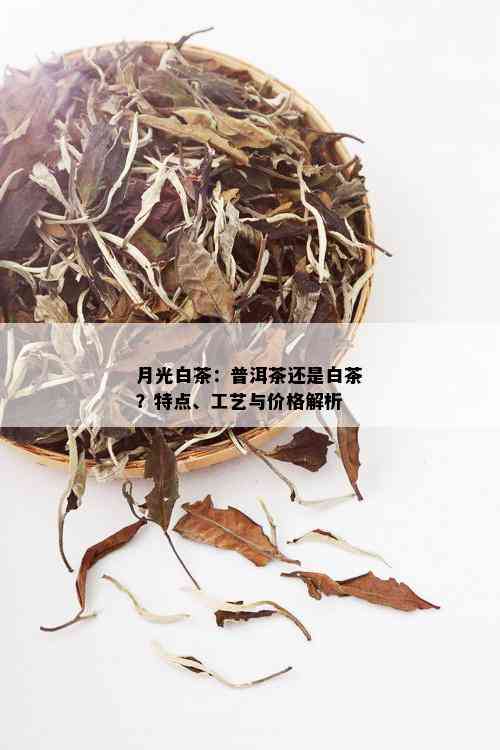 月光白茶：普洱茶还是白茶？特点、工艺与价格解析