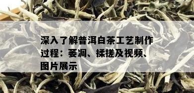 深入了解普洱白茶工艺制作过程：萎凋、揉搓及视频、图片展示