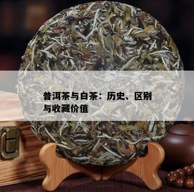 普洱茶与白茶：历史、区别与收藏价值