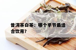 普洱茶白茶：哪个季节最适合饮用？