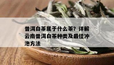 普洱白茶属于什么茶？详解云南普洱白茶种类及更佳冲泡方法