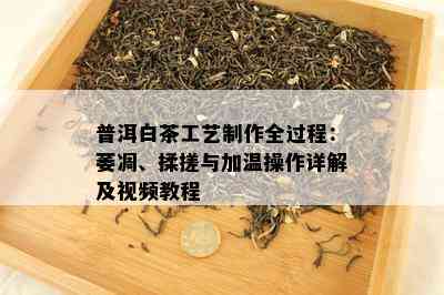 普洱白茶工艺制作全过程：萎凋、揉搓与加温操作详解及视频教程