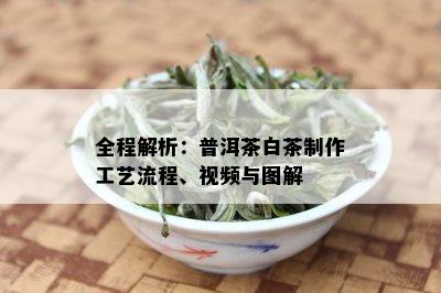 全程解析：普洱茶白茶制作工艺流程、视频与图解