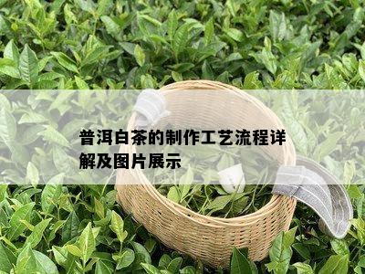 普洱白茶的制作工艺流程详解及图片展示