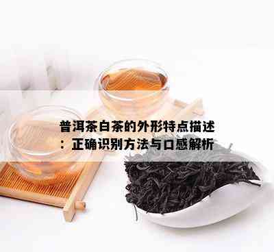 普洱茶白茶的外形特点描述：正确识别方法与口感解析