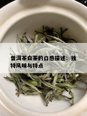 普洱茶白茶的口感描述：独特风味与特点
