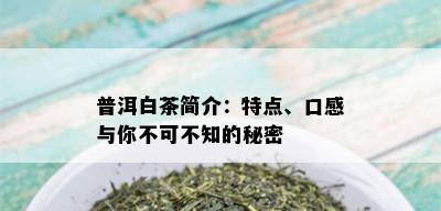 普洱白茶简介：特点、口感与你不可不知的秘密