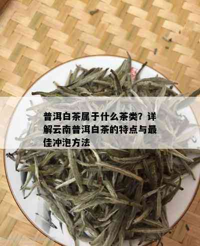 普洱白茶属于什么茶类？详解云南普洱白茶的特点与更佳冲泡方法