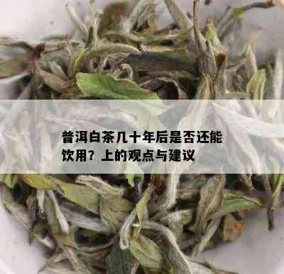 普洱白茶几十年后是否还能饮用？上的观点与建议