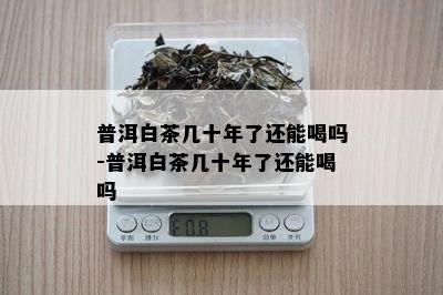 普洱白茶几十年了还能喝吗-普洱白茶几十年了还能喝吗