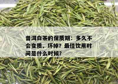 普洱白茶的保质期：多久不会变质、坏掉？更佳饮用时间是什么时候？