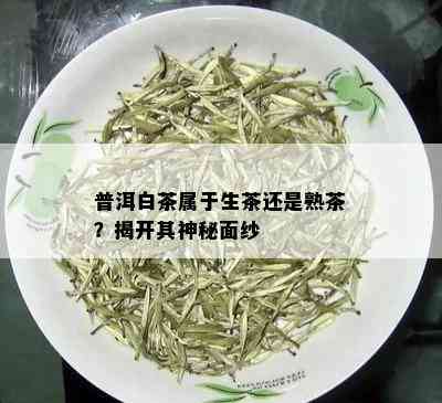 普洱白茶属于生茶还是熟茶？揭开其神秘面纱