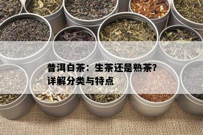 普洱白茶：生茶还是熟茶？详解分类与特点