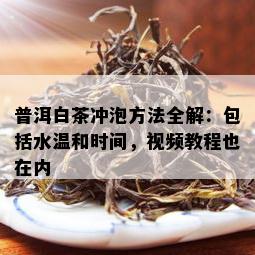 普洱白茶冲泡方法全解：包括水温和时间，视频教程也在内