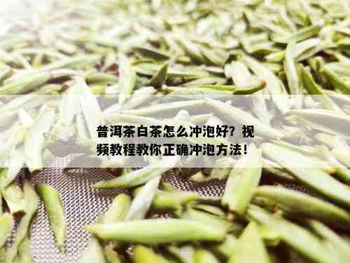 普洱茶白茶怎么冲泡好？视频教程教你正确冲泡方法！