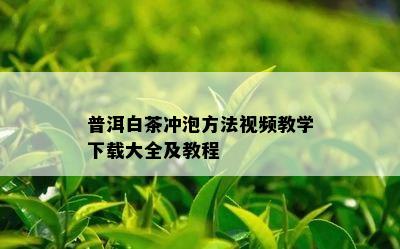 普洱白茶冲泡方法视频教学下载大全及教程